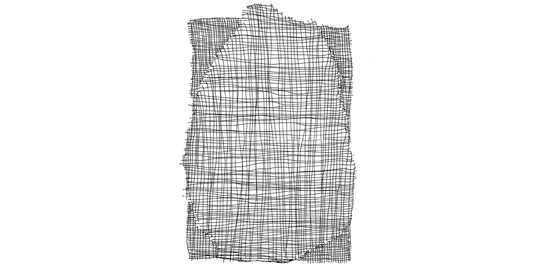 Alga, a design that speaks through the senses.